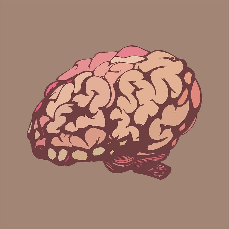 Knowledge Expansion